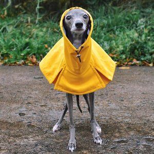 Iggy Clothing -Oliviero Yellow Reversible Raincoat